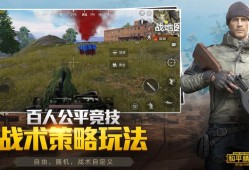 和平精英辅助网下载_和平精英mk辅助下载