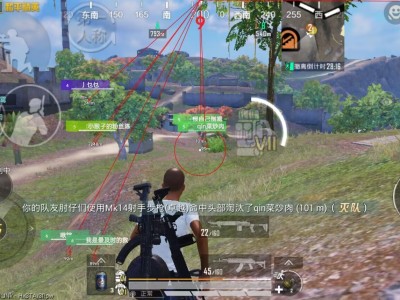 和平精英辅助【蜜雪冰城直装V3.0】人机识别  子弹追踪 开火自瞄 人物透视