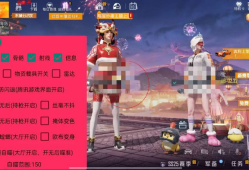 和平精英辅助【哈士奇容器直装V3.6稳定版】全图人物透视 主播无后座 开枪防抖动 皮肤美化 欧布变色  紫色螳螂 触摸自瞄 自瞄范围