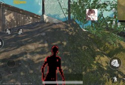 和平精英国际主播公开赛2023_和平精英2023外挂主播都有谁