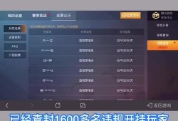 透视壁纸文件下载和平精英_和平精英开挂专用壁纸