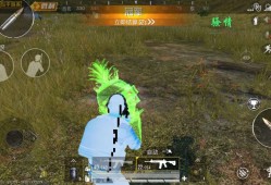 和平精英最强的五位主播_和平精英主播最近用的外挂