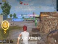和平精英透视自瞄免费辅助_和平精英自瞄辅助永久oppo