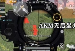 和平精英透视防封免费版_和平精英观战透视处罚