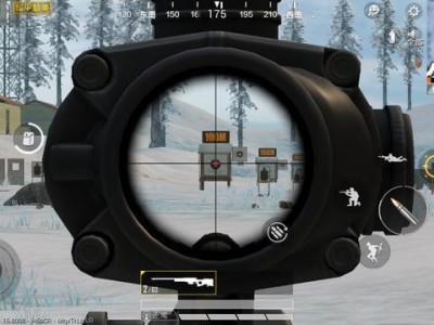 手机和平精英辅助透视_和平精英龙王辅助是真的