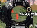 和平精英白纸辅助：游戏攻略与实用技巧大揭秘_和平精英白纸辅助