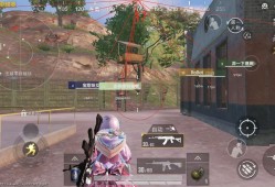 和平精英辅助【火焰鸟直装V6.0终极修复版】射线透视 准星聚点 空投透视 人物变大 显示手持 透视雷达