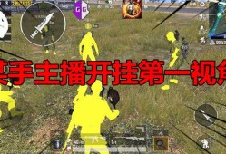 揭秘和平精英主播开挂背后的专属音乐：背后的故事与真相探索_和平精英主播开挂的专属音乐全