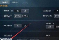 和平精英飞天挂怎么开的_和平精英飞行棋可以开挂吗