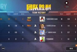 和平精英团队竞技满级_和平精英团队竞技击败外挂