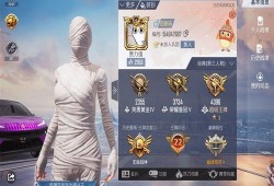 和平精英辅助购买网址_珠海有和平精英辅助器卖吗