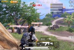 和平精英辅助瞄准_和平精英辅助上分教程