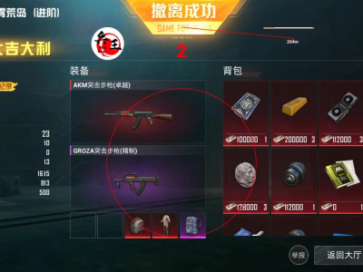 和平精英辅助地铁逃生外挂【血轮眼改文件】