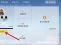 和平精英职业选手招募_和平精英职业选手外挂操作