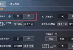 《和平精英外挂使用解析及安全警告》_和平精英中的外挂在哪里开
