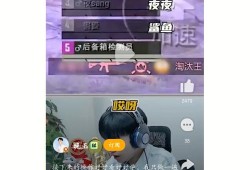 和平精英科技主播_开过科技的和平精英主播