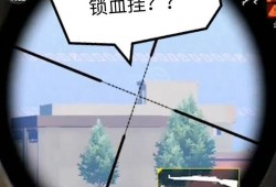 和平精英的挂是怎么使用的_和平精英如何用枪打死外挂