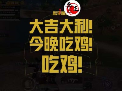 和平精英IOS免越狱辅助【九世】巨魔安装 独家UI 透视自瞄绘制