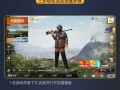 和平精英辅助卡盟提卡网_和平精英辅助大黄蜂提卡网