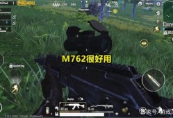 和平精英看不清楚人怎么调_和平精英不阻止外挂