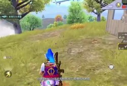 和平精英里的语音包_和平精英外挂一语音