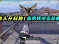 和平精英挂有哪些功能_和平精英哪些为外挂