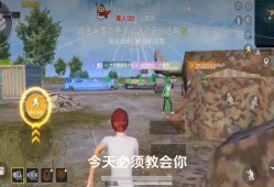 《和平精英辅助透视手机版的法律风险与道德困境》_和平精英辅助透视手机版
