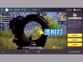 和平精英全是挂怎么玩_玩和平精英什么是开外挂