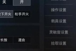 和平精英辅助瞄准开好还是不开好_辅助瞄准用不用开和平精英