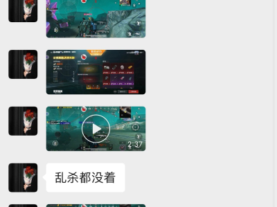 和平精英root插件【熊猫V1】免root/不用root/不需要root/封号作者剁鸡