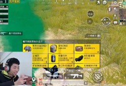和平精英自瞄锁头辅助器_和平精英自动蹲趴辅助器
