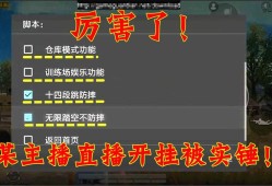 和平精英怎么在对局中不显示头盔_和平精英显示绿框是挂吗