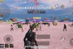 和平精英辅助【巡查员直装V1.0】人物透视 雷达预警 全车美化 枪械美化 人物加速