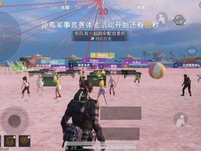 和平精英辅助【巡查员直装V1.0】人物透视 雷达预警 全车美化 枪械美化 人物加速