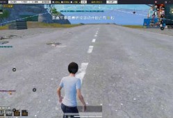 和平精英透视自瞄辅助手机版_和平精英电脑版透视自瞄YY平台