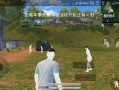 和平精英透视手机版下载免费_下载和平精英透视