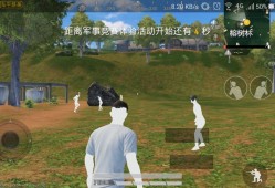 和平精英透视手机版下载免费_下载和平精英透视