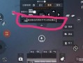 和平精英自瞄怎么设置_和平精英设置开自瞄