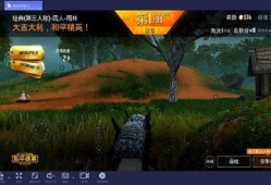 怎么开和平精英科技_和平精英怎么开科技呀