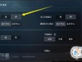 和平精英怎么巡查?_和平精英怎么打开巡查外挂